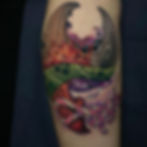 72216916_2757240500954460_7139549210159874048_n