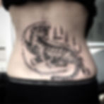 13923744_1264261386929479_5152066664547738119_o