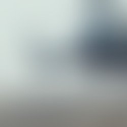 AS350's Landing Blackline Simulations Helicopter Airsoft Milsim Canada