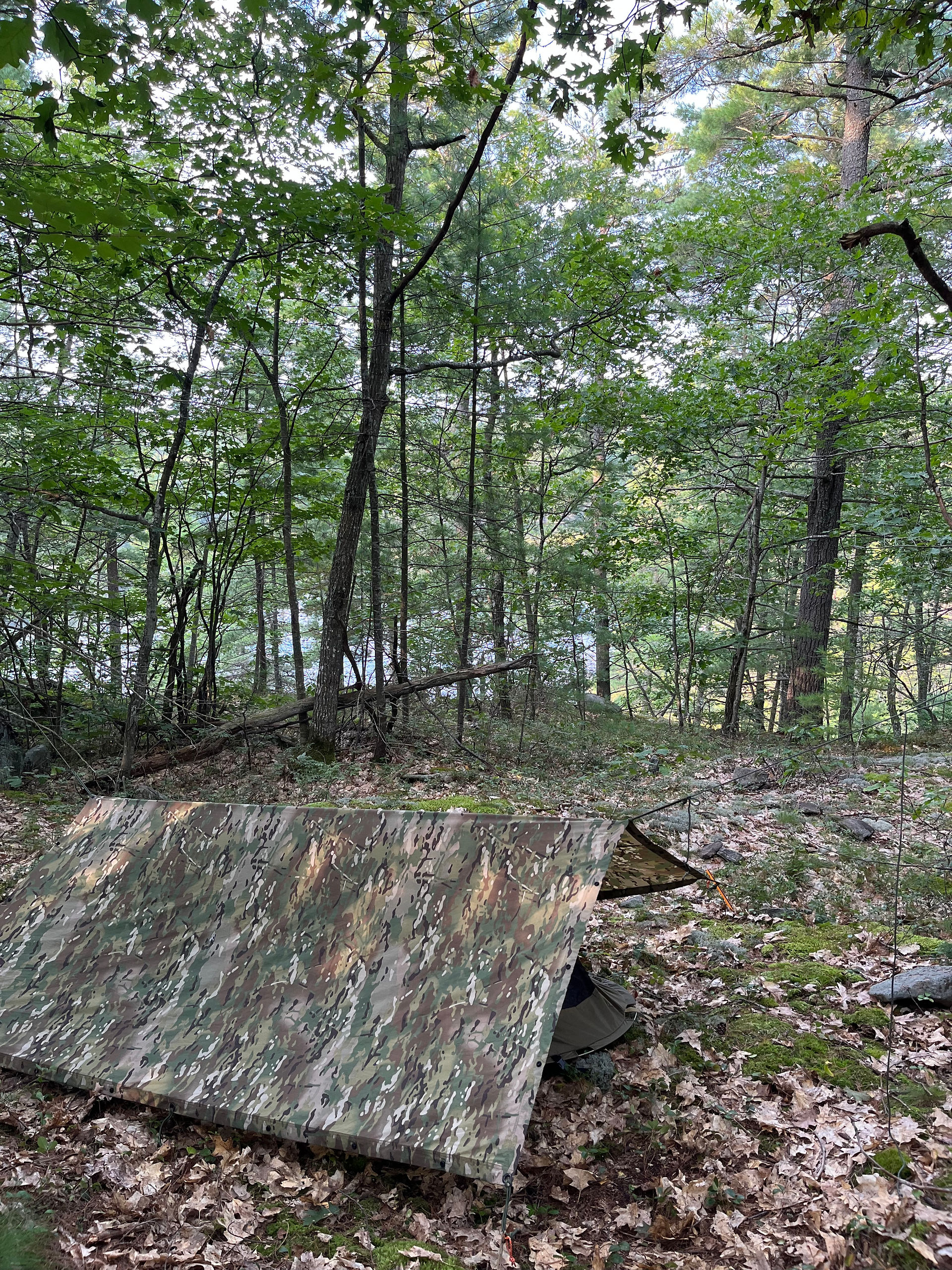 Catoma burrow bivy and a multicam tarp setup in forest