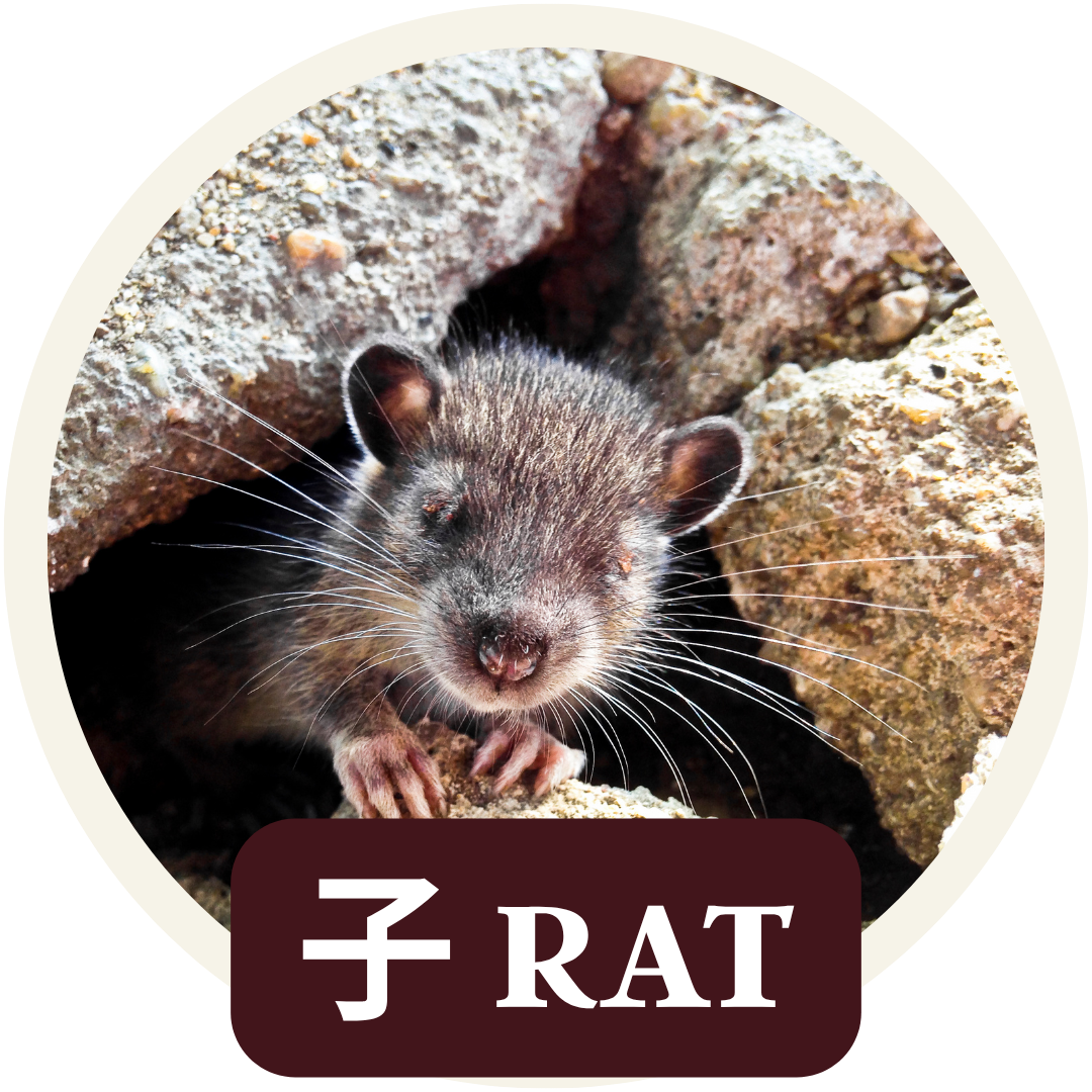 ASTROPOST© 子 RAT 🐀 - JUIN JUILLET 2026