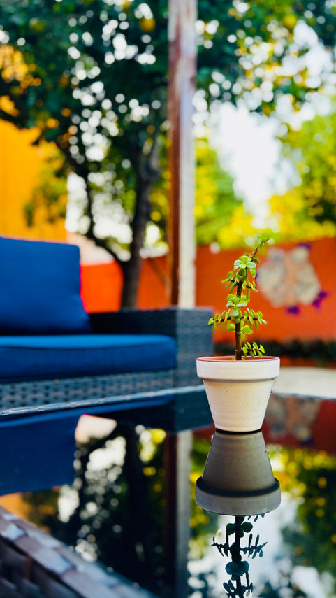 Private boutique room in Mérida Centro at Los Colores de Mérida B&B featuring local design, natural textures, and a peaceful slow travel experience