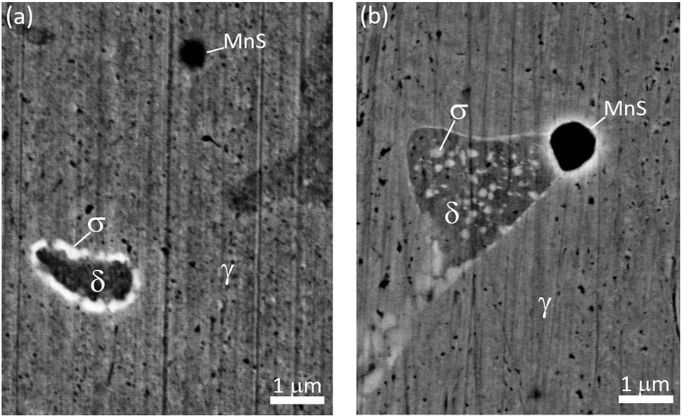 Figura 3. Micrografia obtida por MEV/BSE identificando a fase deletéria sigma (em branco). Na soldagem MAG modo spray (Figura 3.a) a fase sigma precipitou no contorno da ferrita-delta, enquanto que na soldagem MAG modo curto-circuito (Figura 3.b) a fase sigma precipitou dentro da ferrita-delta.