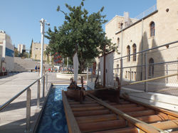 The Science Park in Haifa