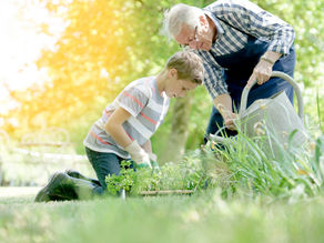 Training Your Grandchildren to be Grandparents