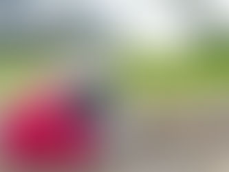 Our Physical Bodies Are the Door to Our Spiritual World