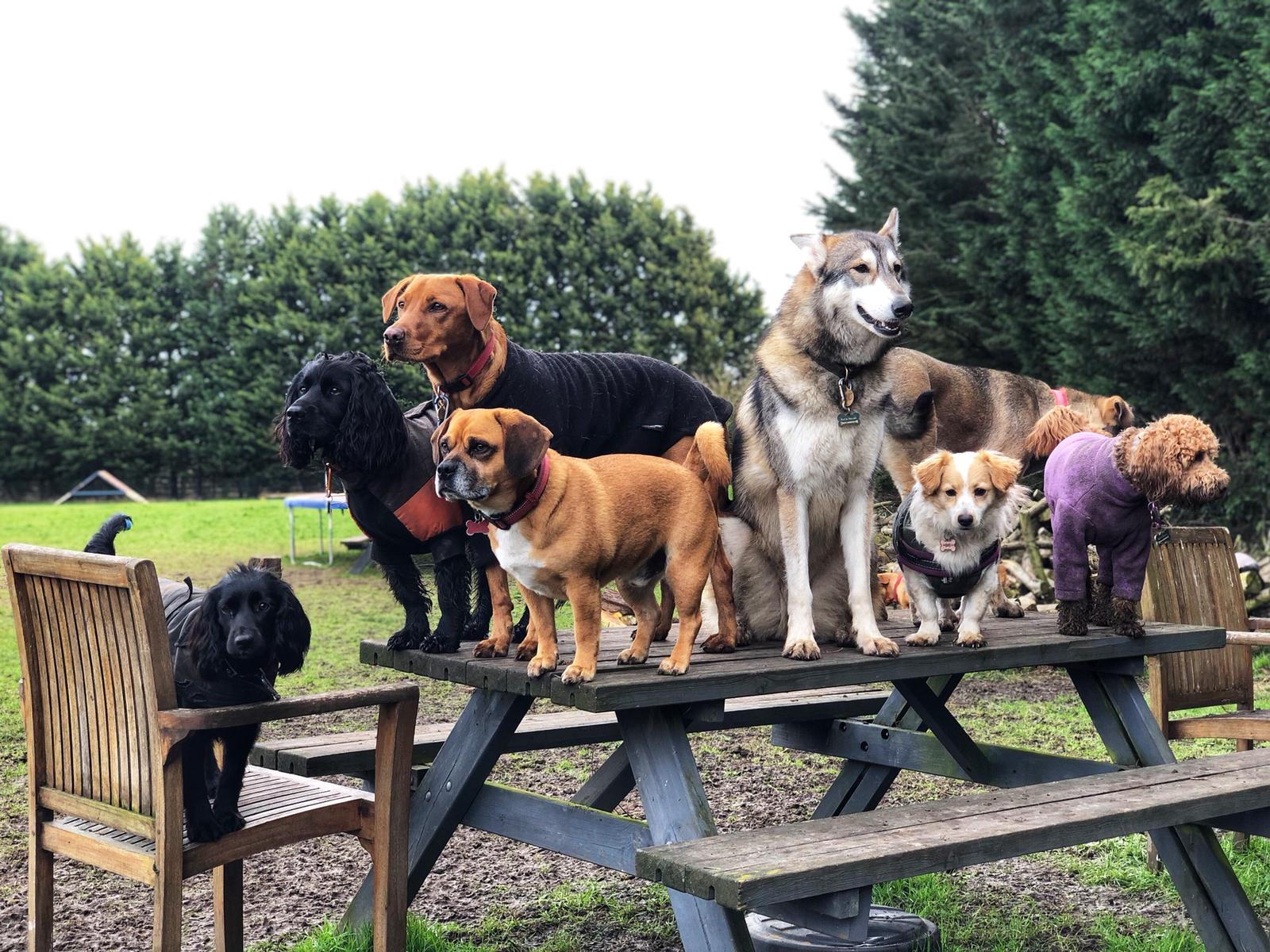 About Kent Bed & Biscuits