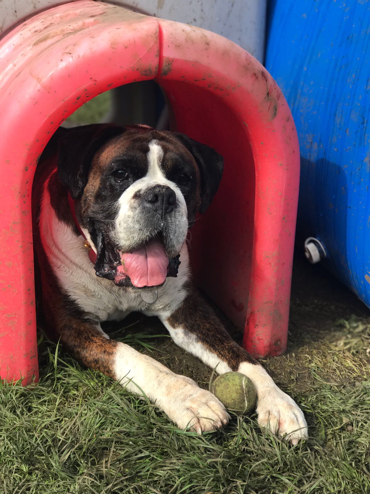 About Kent Bed & Biscuits