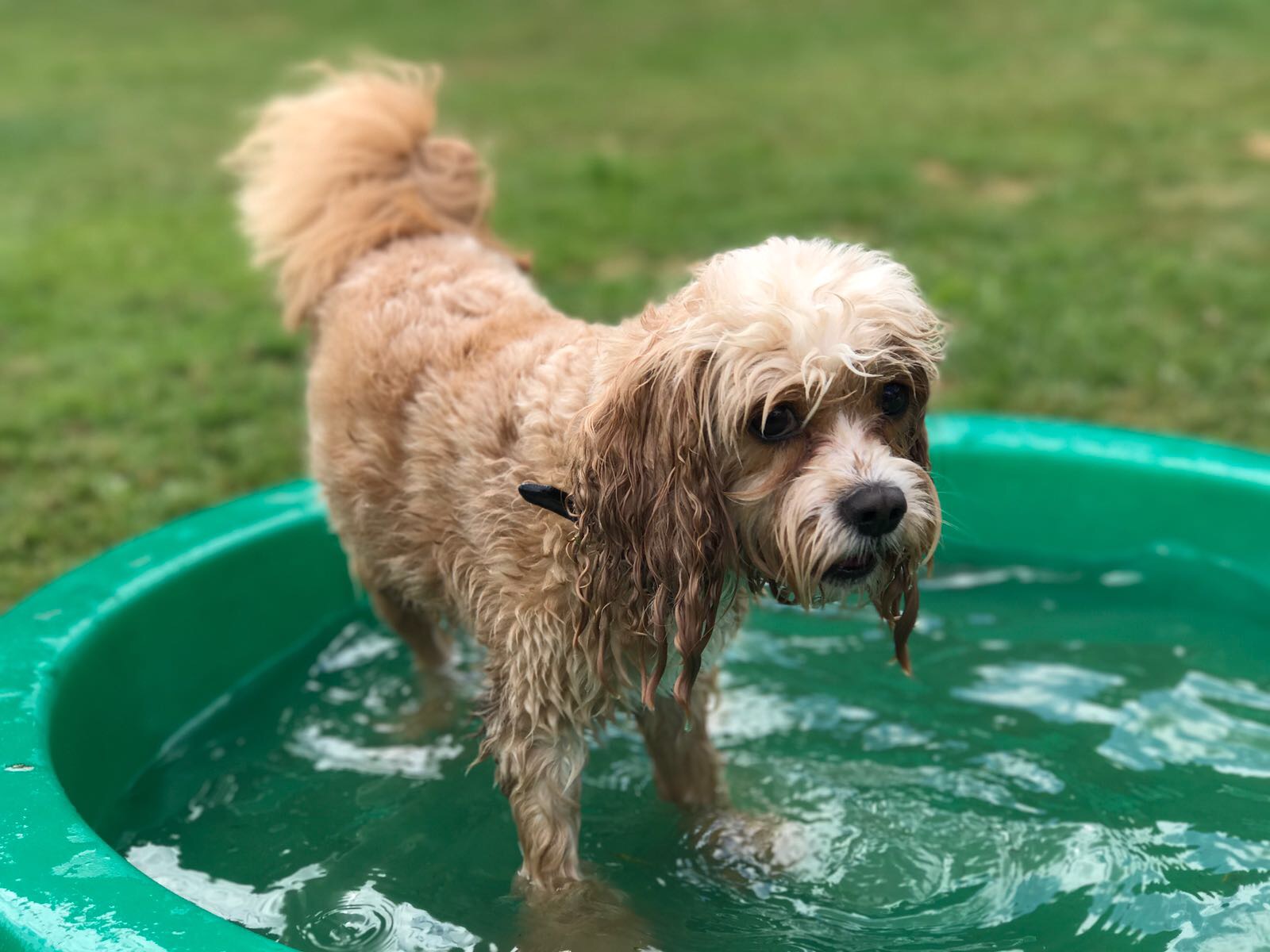 About Kent Bed & Biscuits