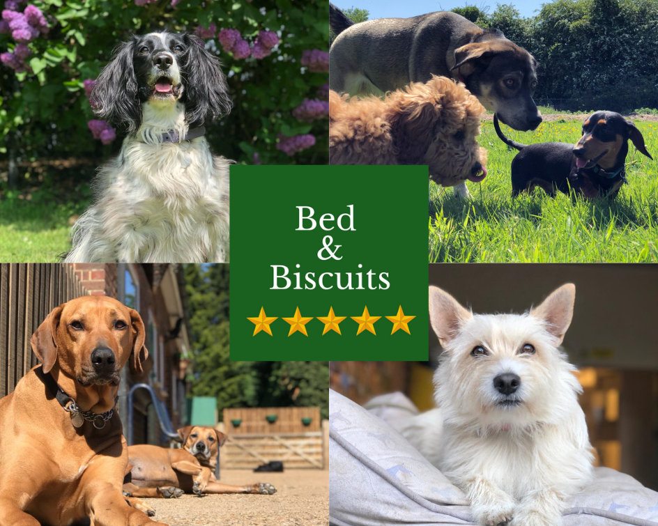 Beds & cheap biscuits
