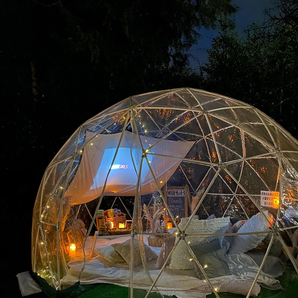 Cinema Igloo.JPG