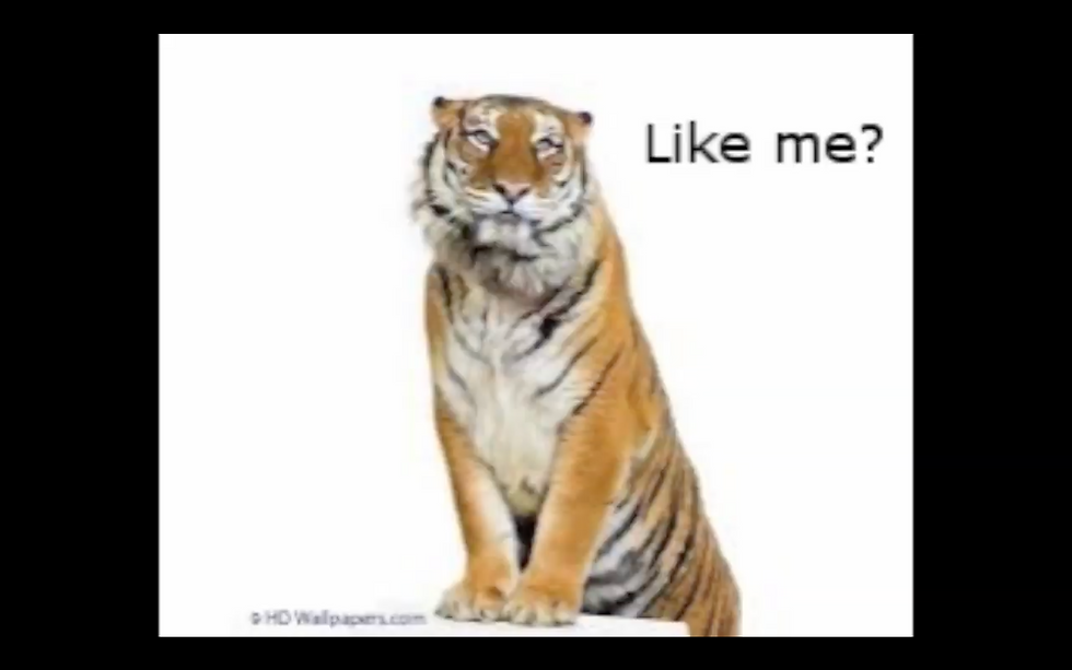 ree