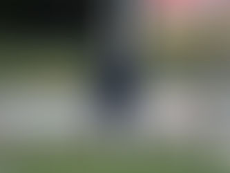 SARRE-UNION - AMNEVILLE, L'ALBUM PHOTO