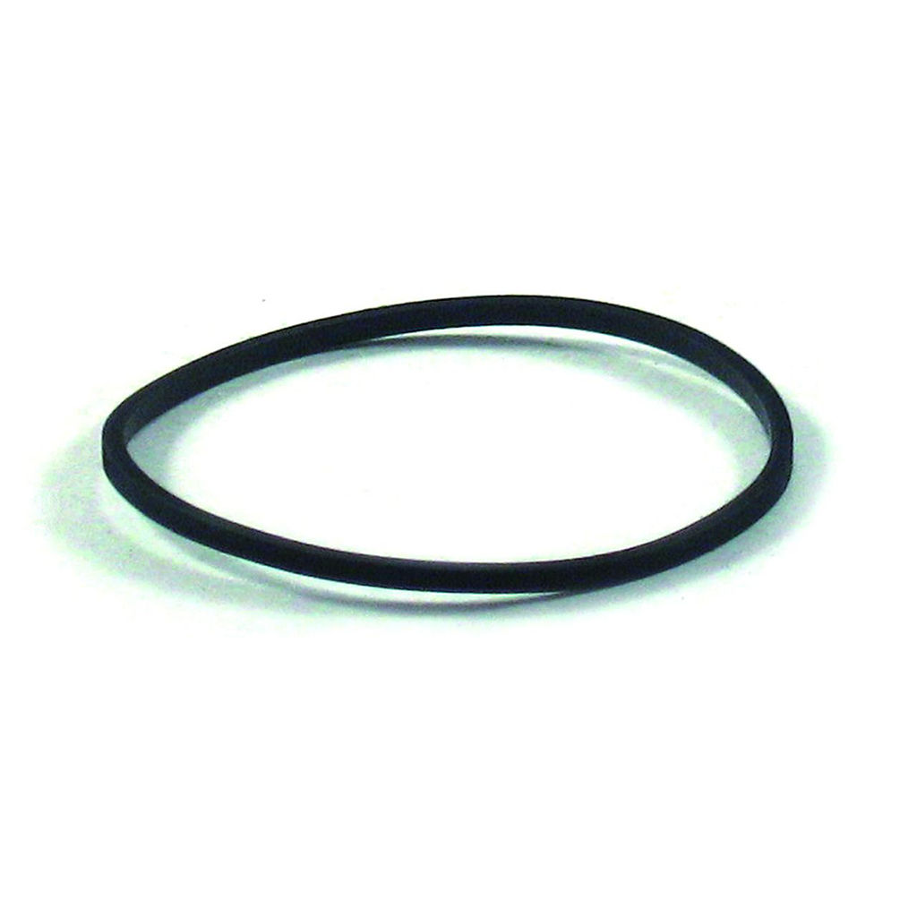 Briggs & Stratton walbro carby bowl O'ring