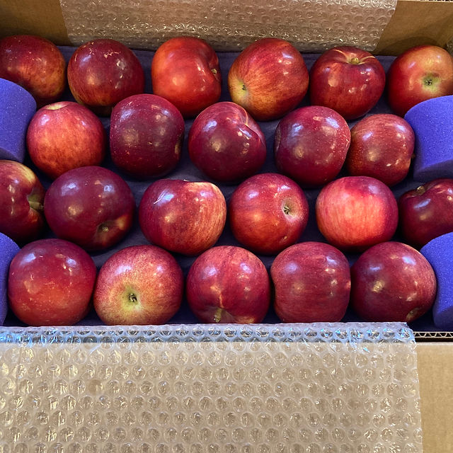 2020-11 Mac Shpmt #1.JPG