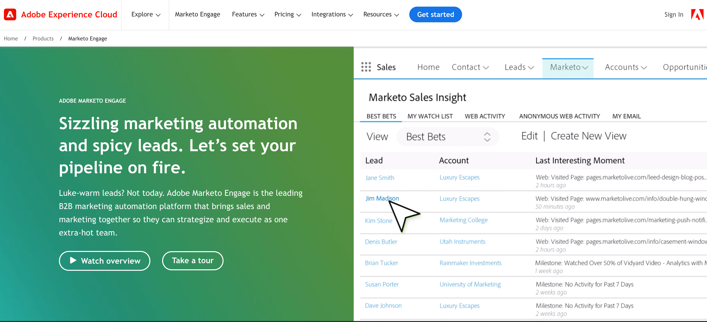 Marketo review