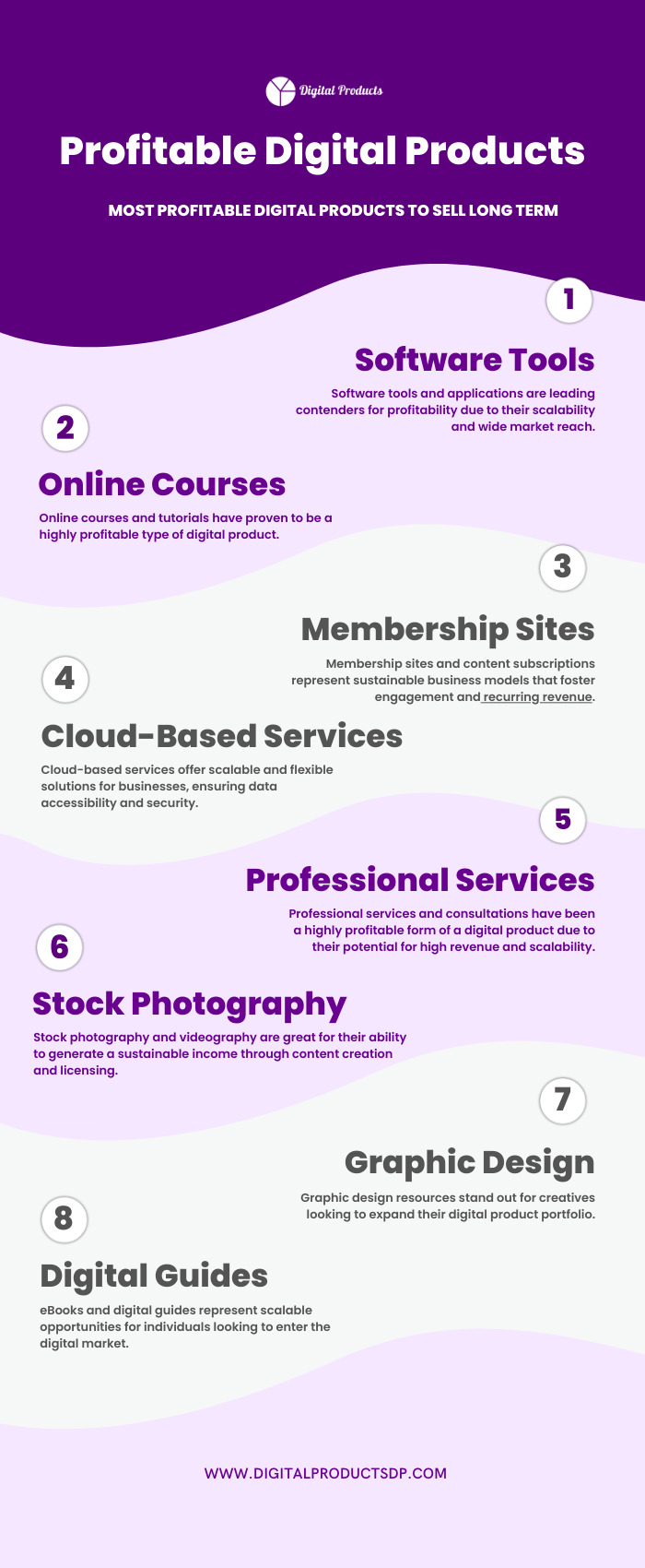 Profitable Digital Products infographic