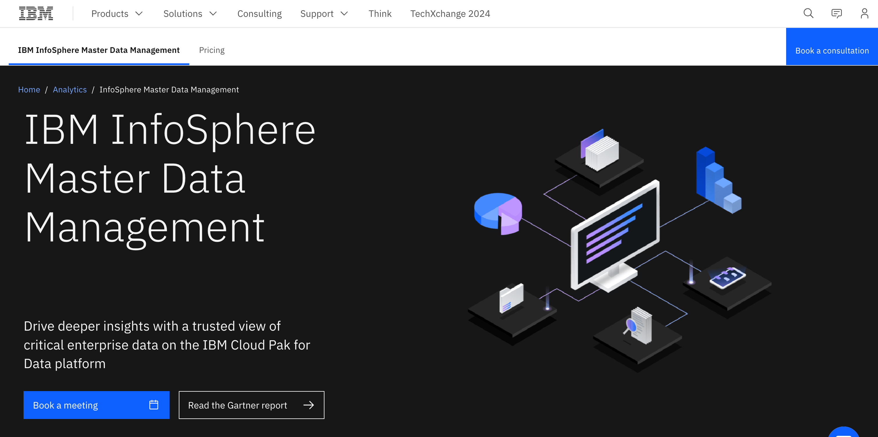 IBM InfoSphere MDM review