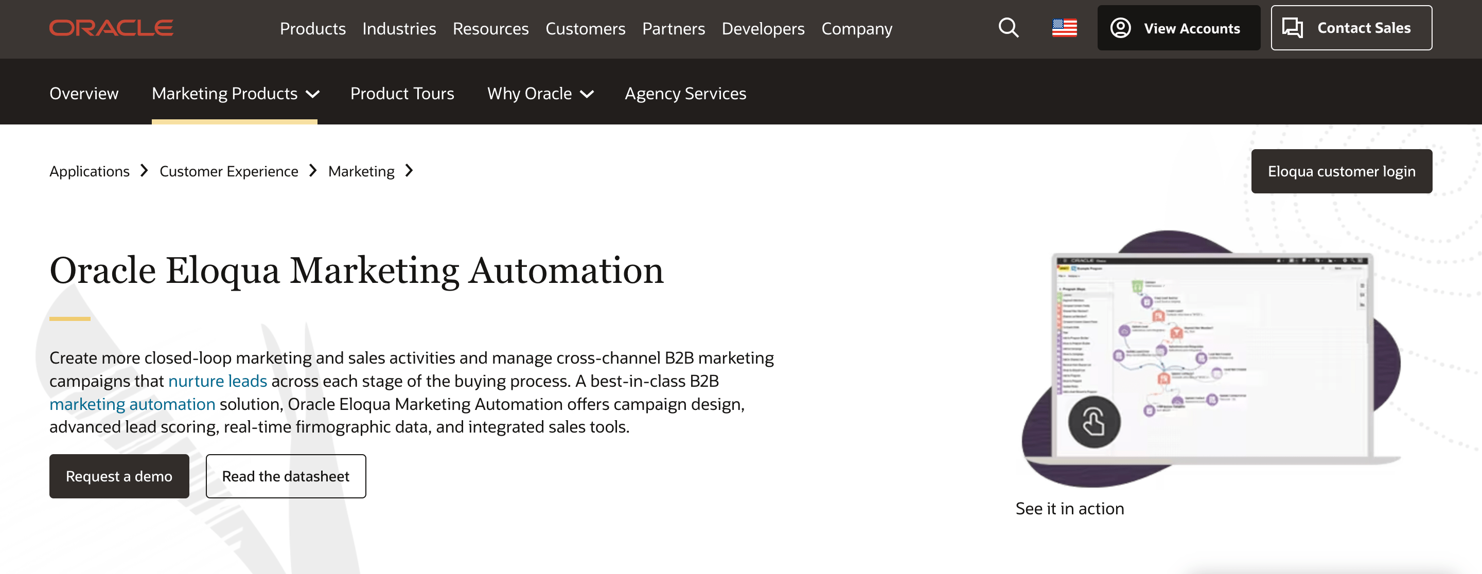 Oracle Eloqua review