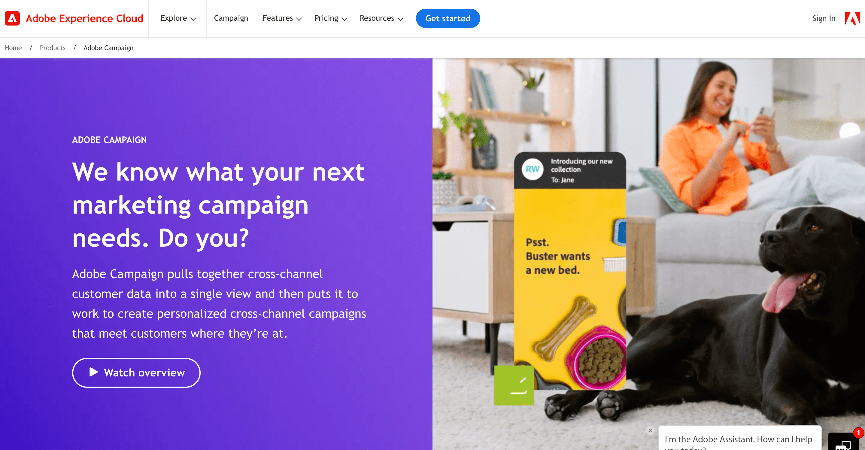 Adobe Campaign review