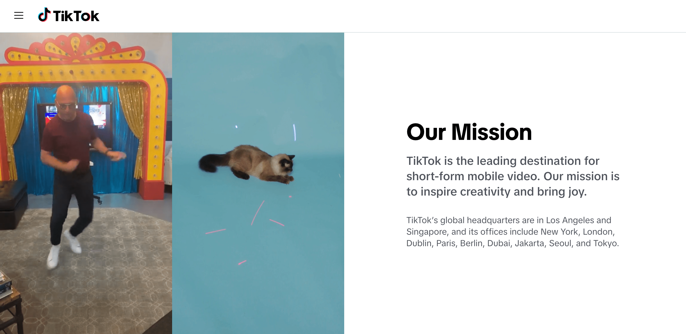 TikTok review