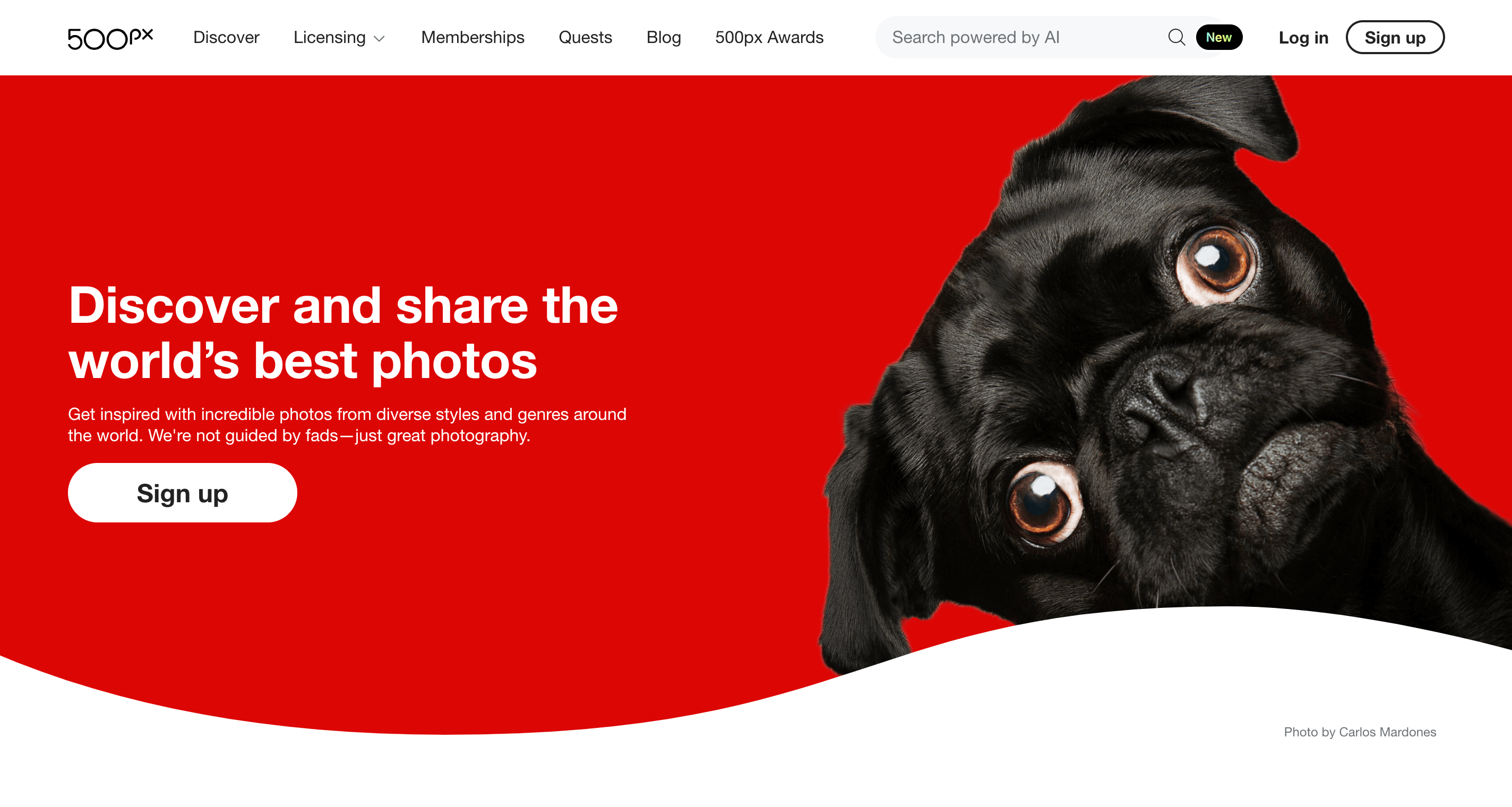 500px review
