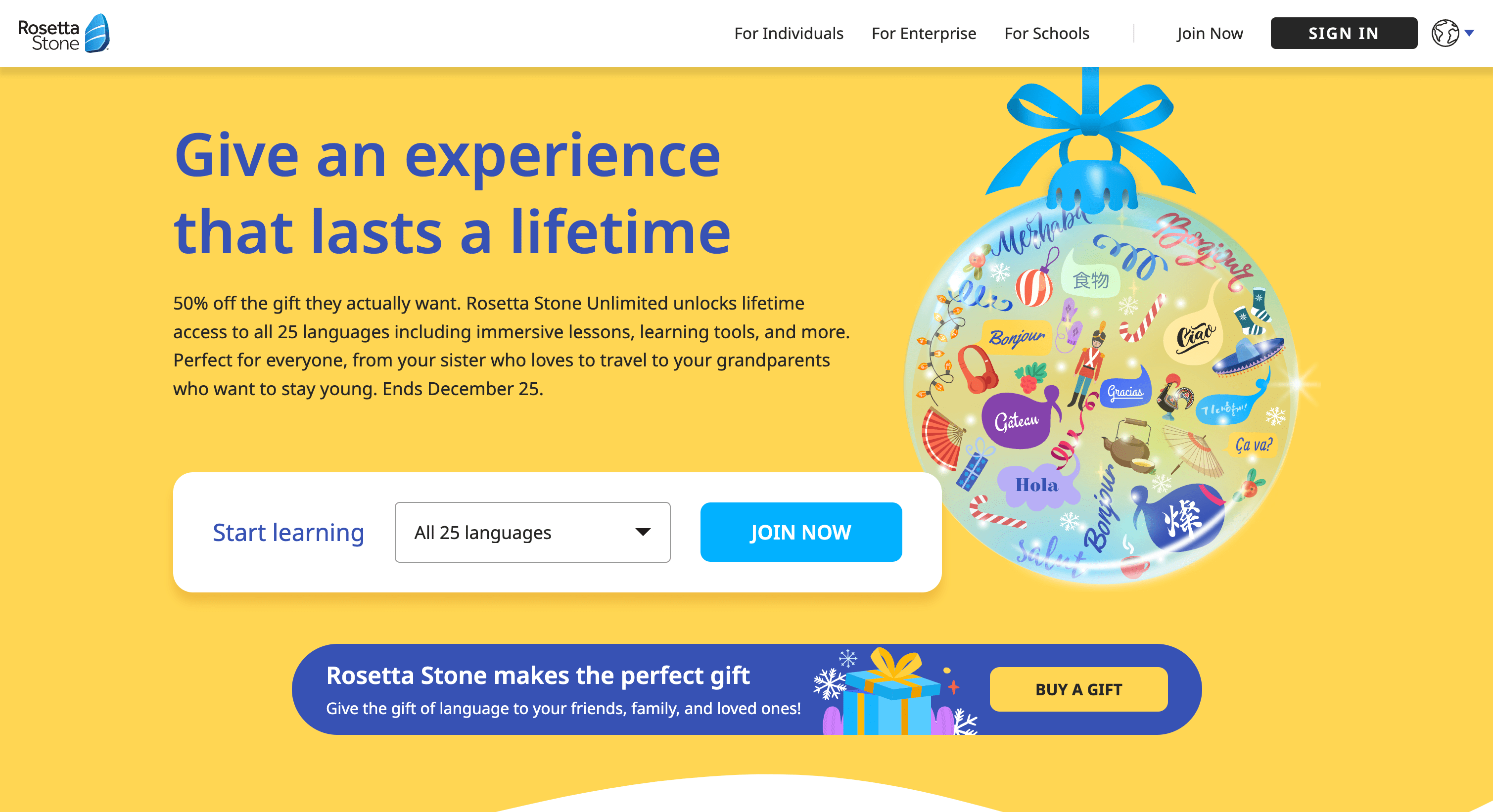 Rosetta Stone review