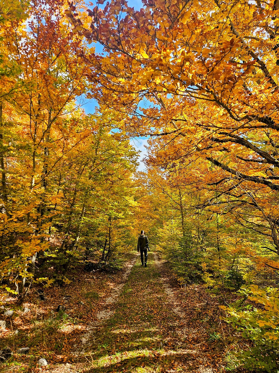 Uomo che cammina in un bosco in Abruzzo