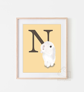 026N_BT_401.png