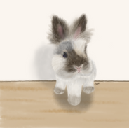 Custom Portrait