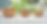 Apple Turning.png