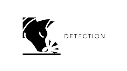 Detection