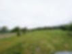 PXL_20260521_174328920.MP.jpg