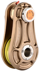 image (12).png