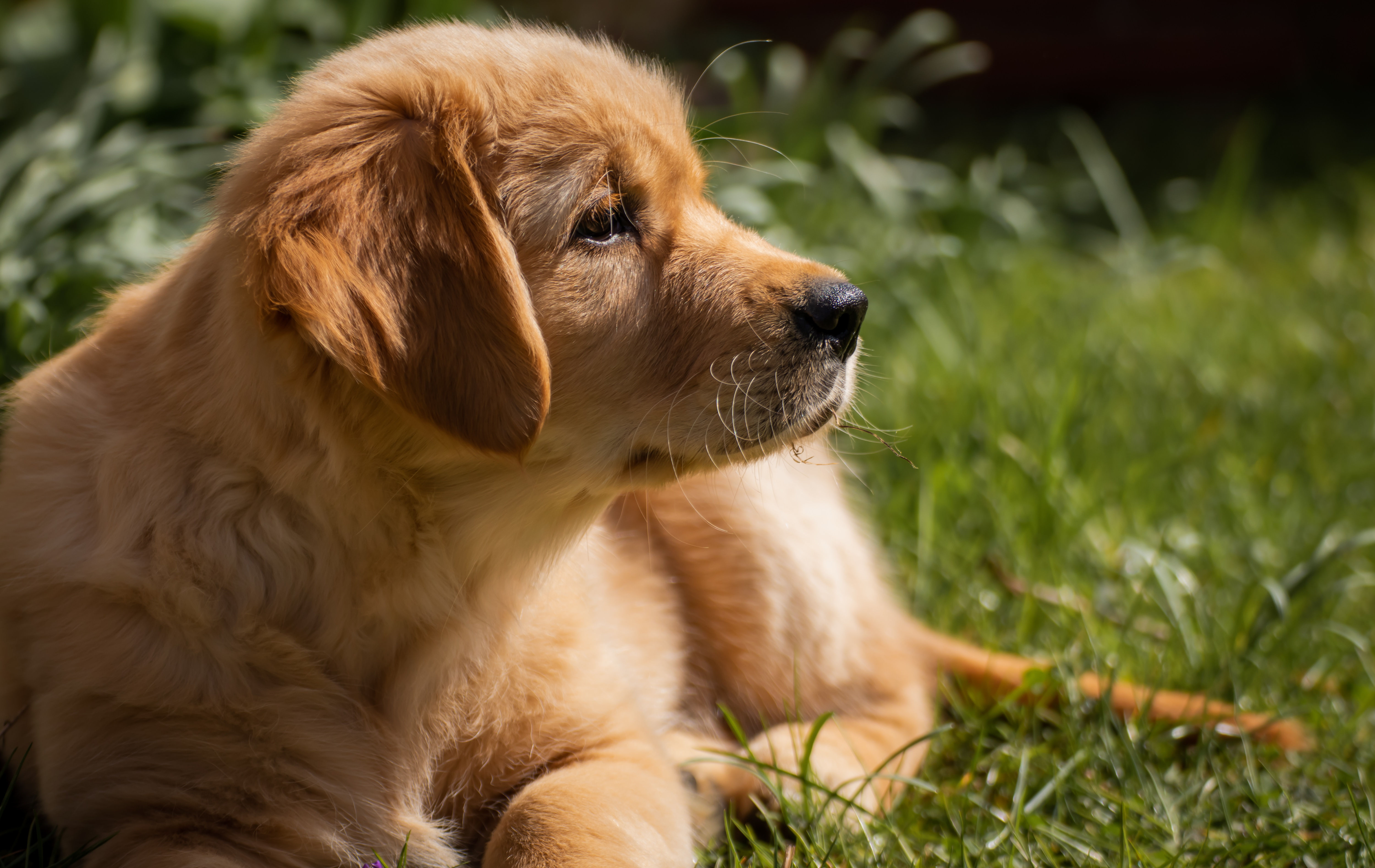 image000122221