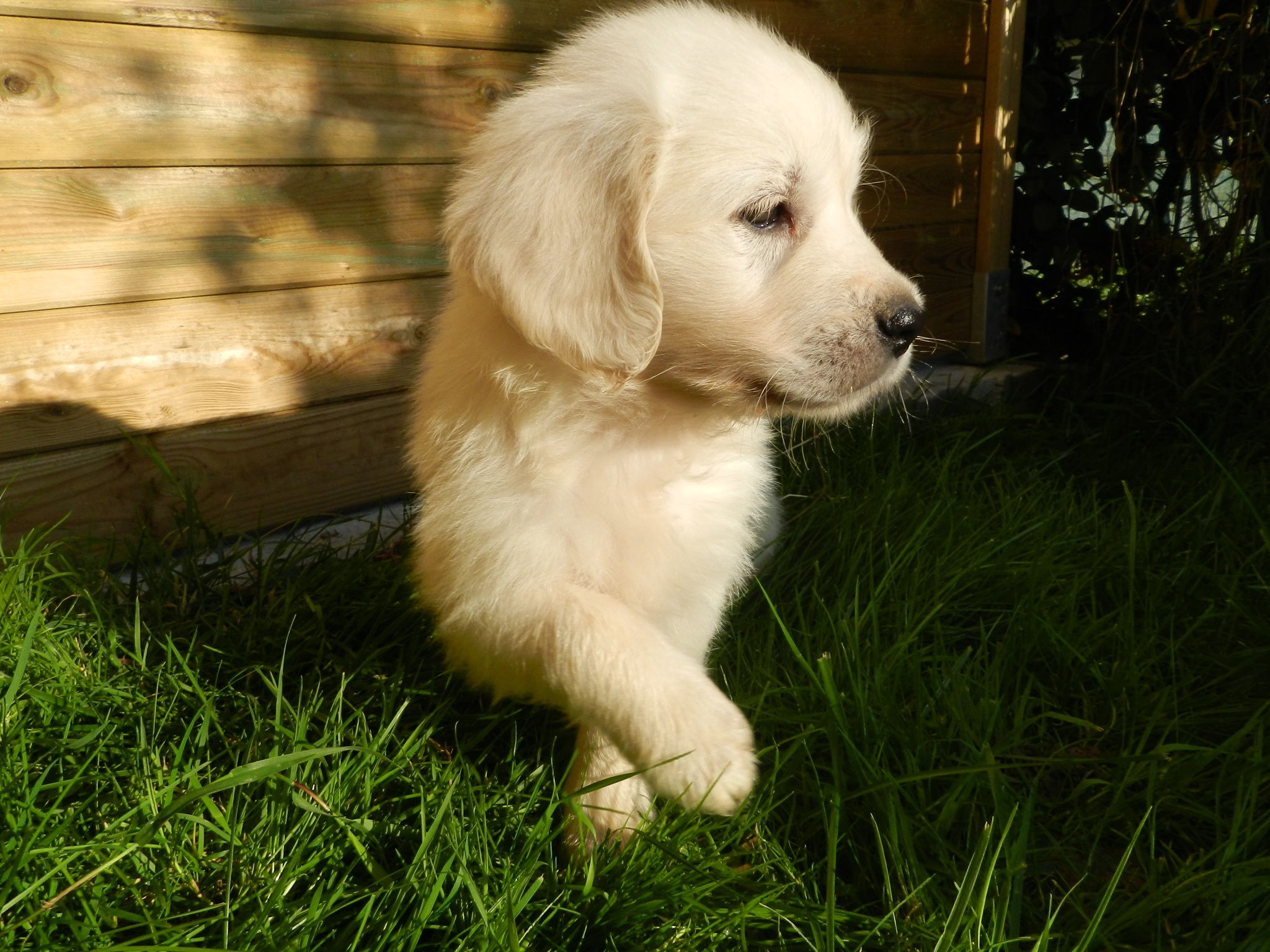 image000122221