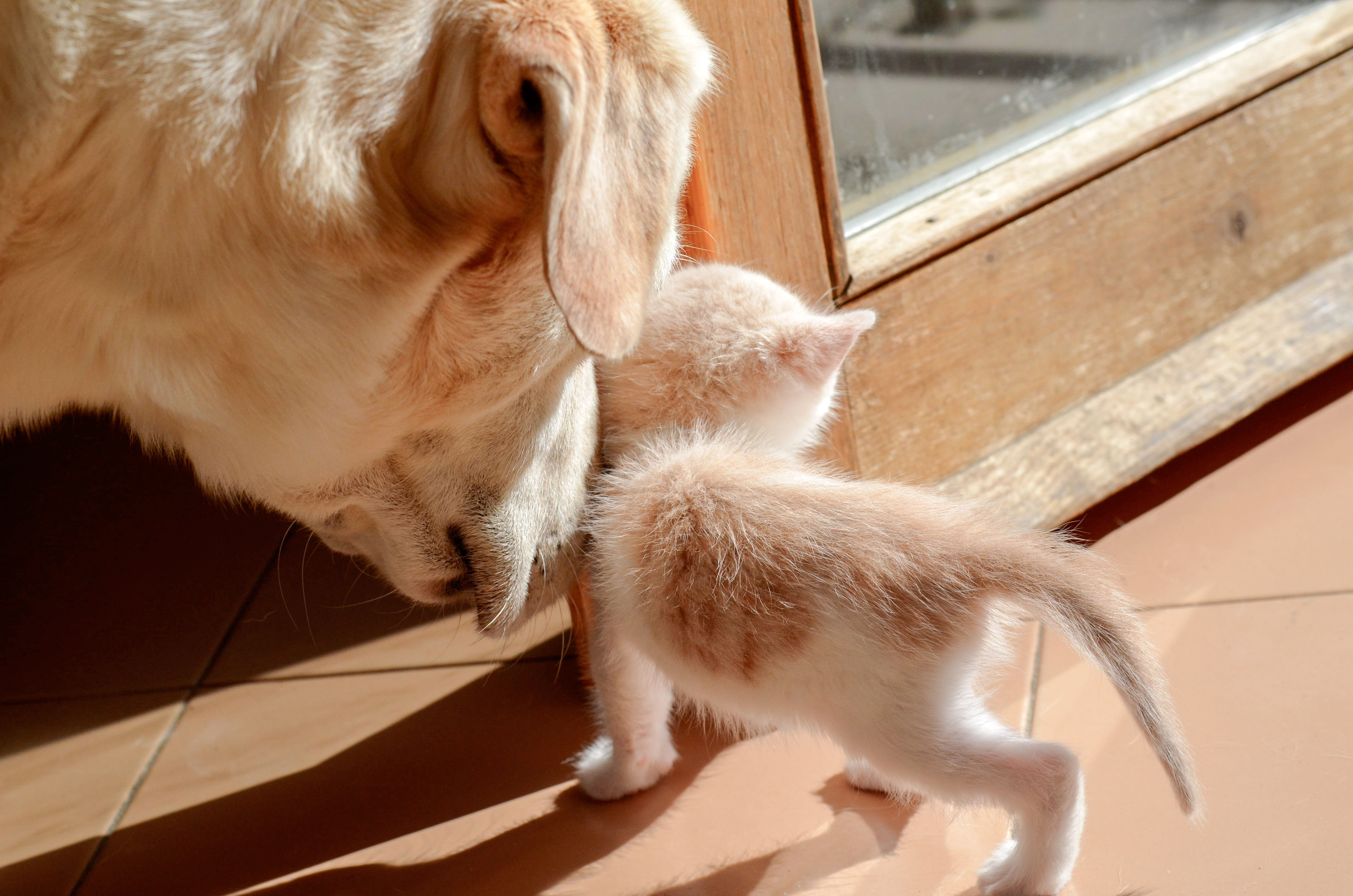 image000122221