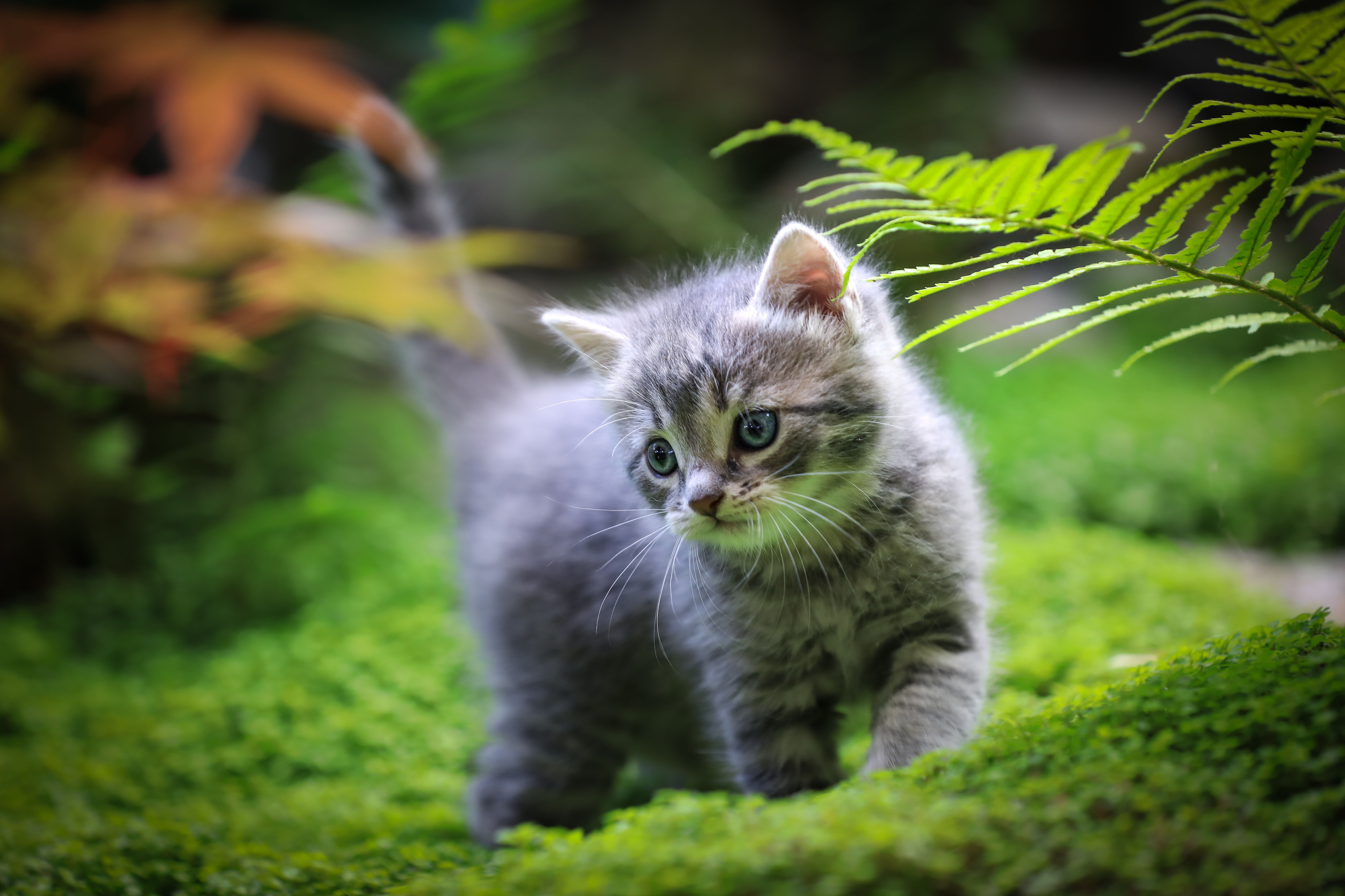 image000122221