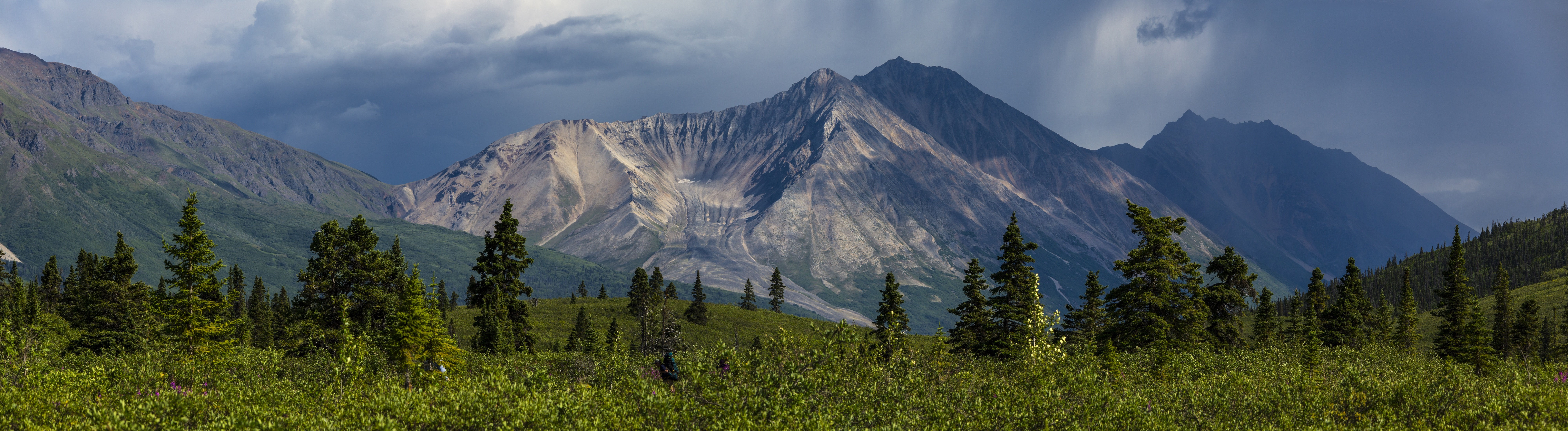 image00012211214