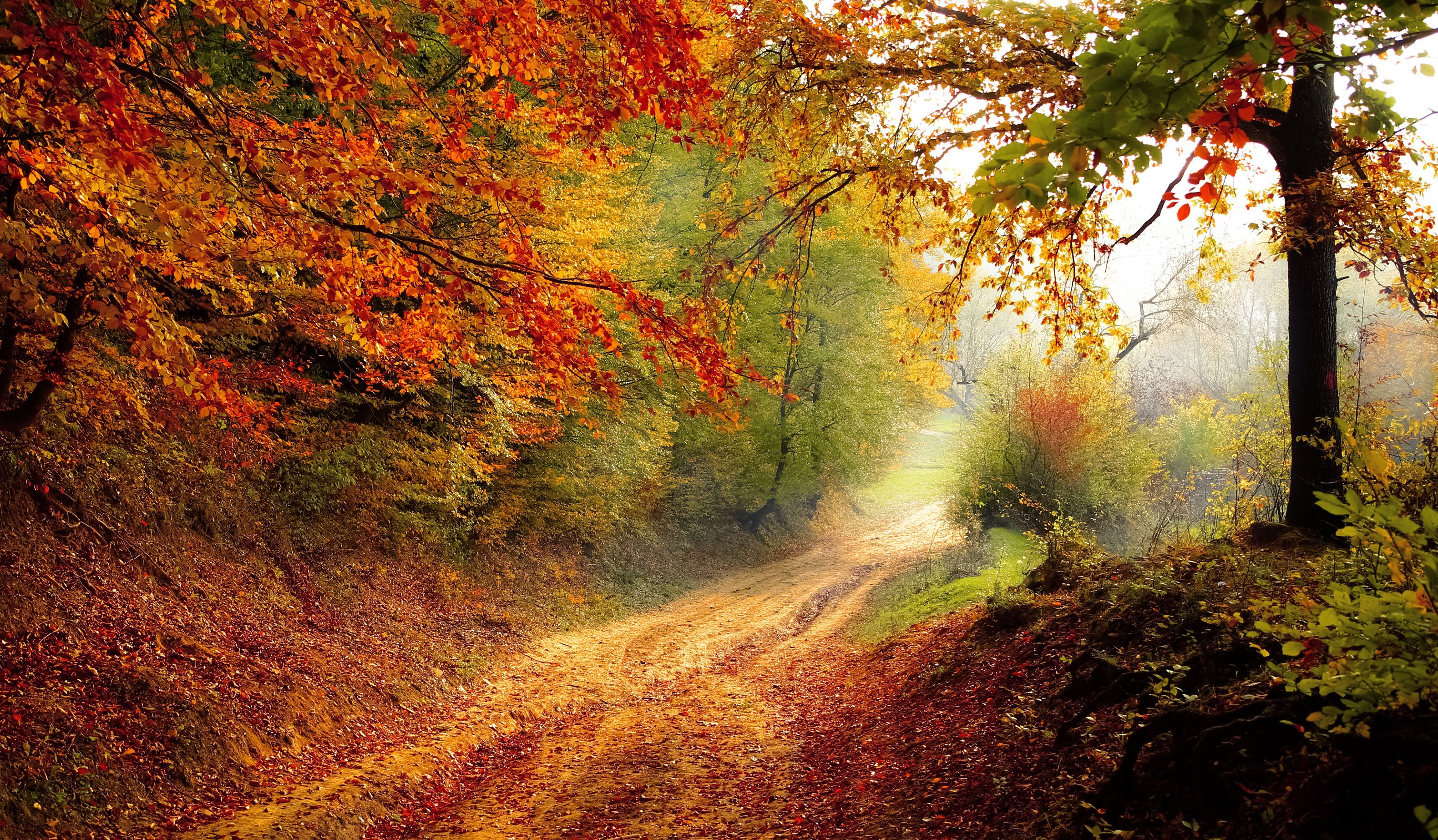 landscape-16227218.jpg