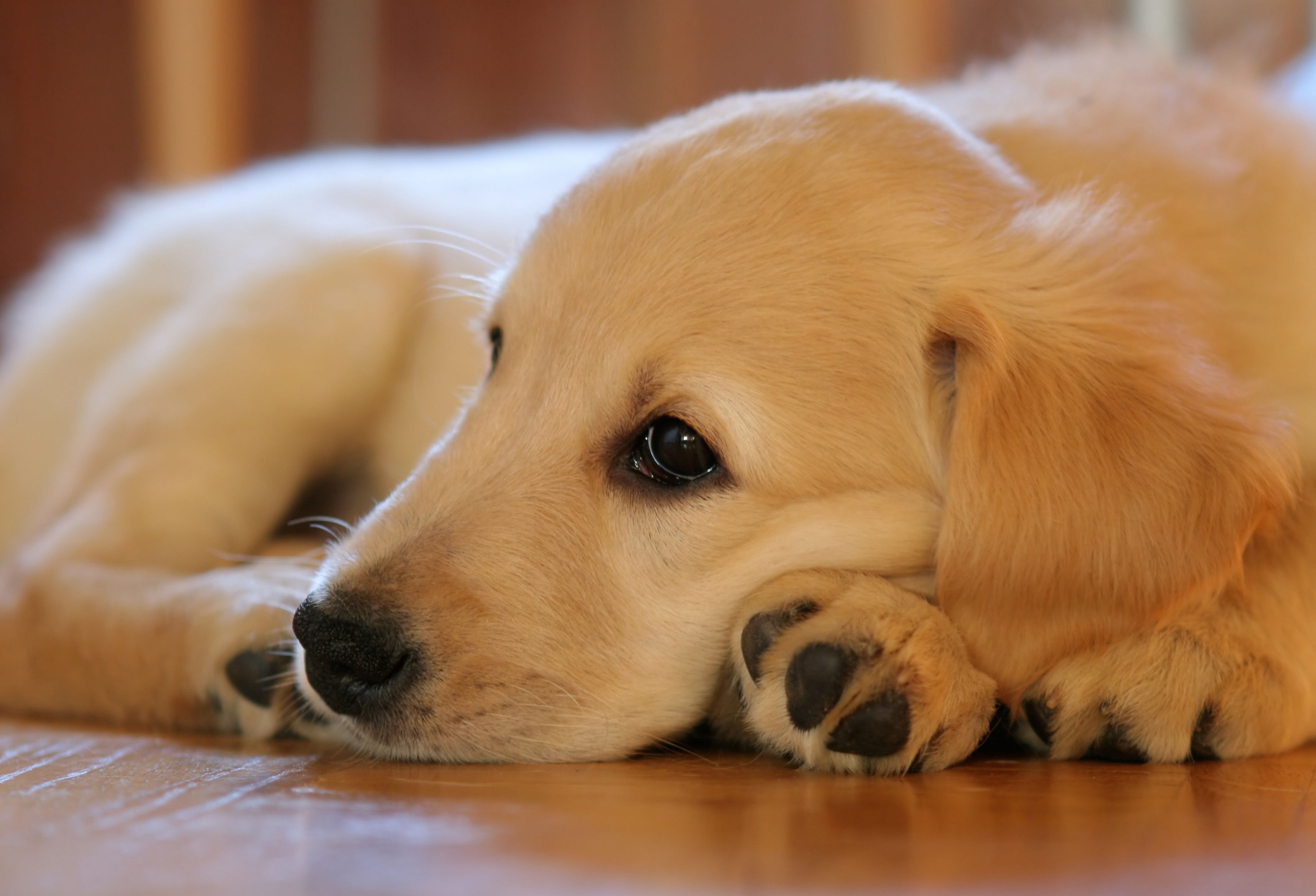 image000122221