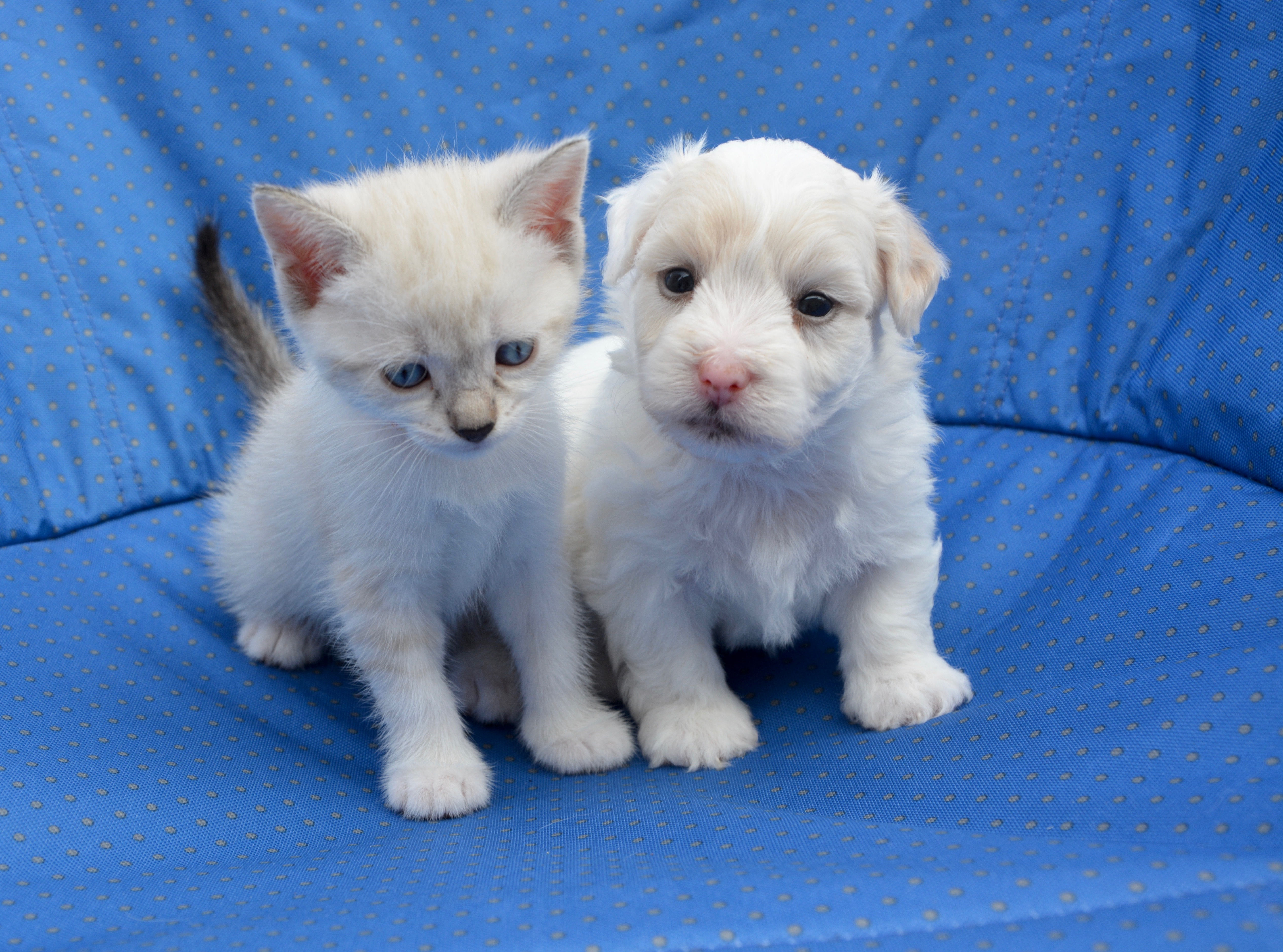 image000122221