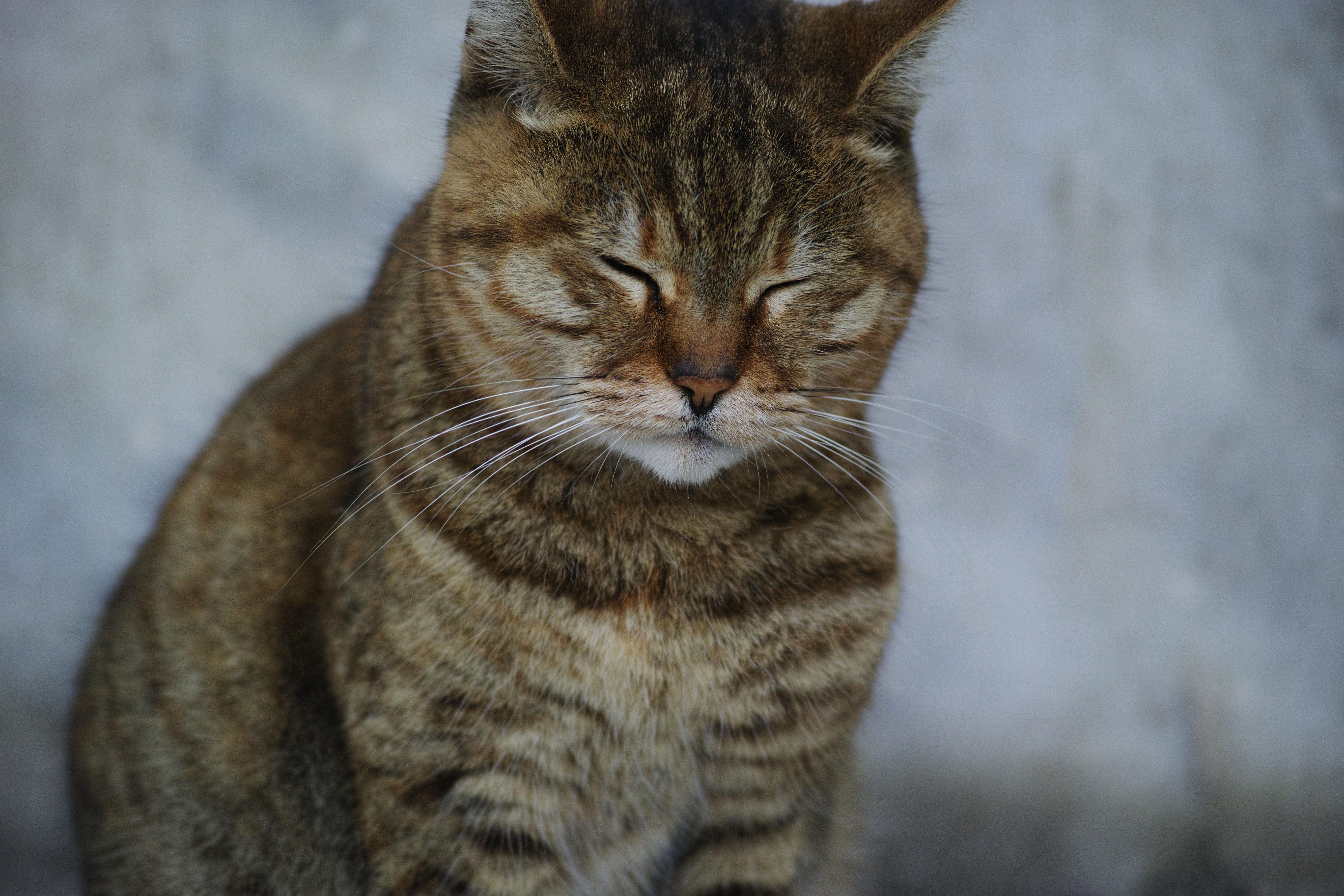 image000122221