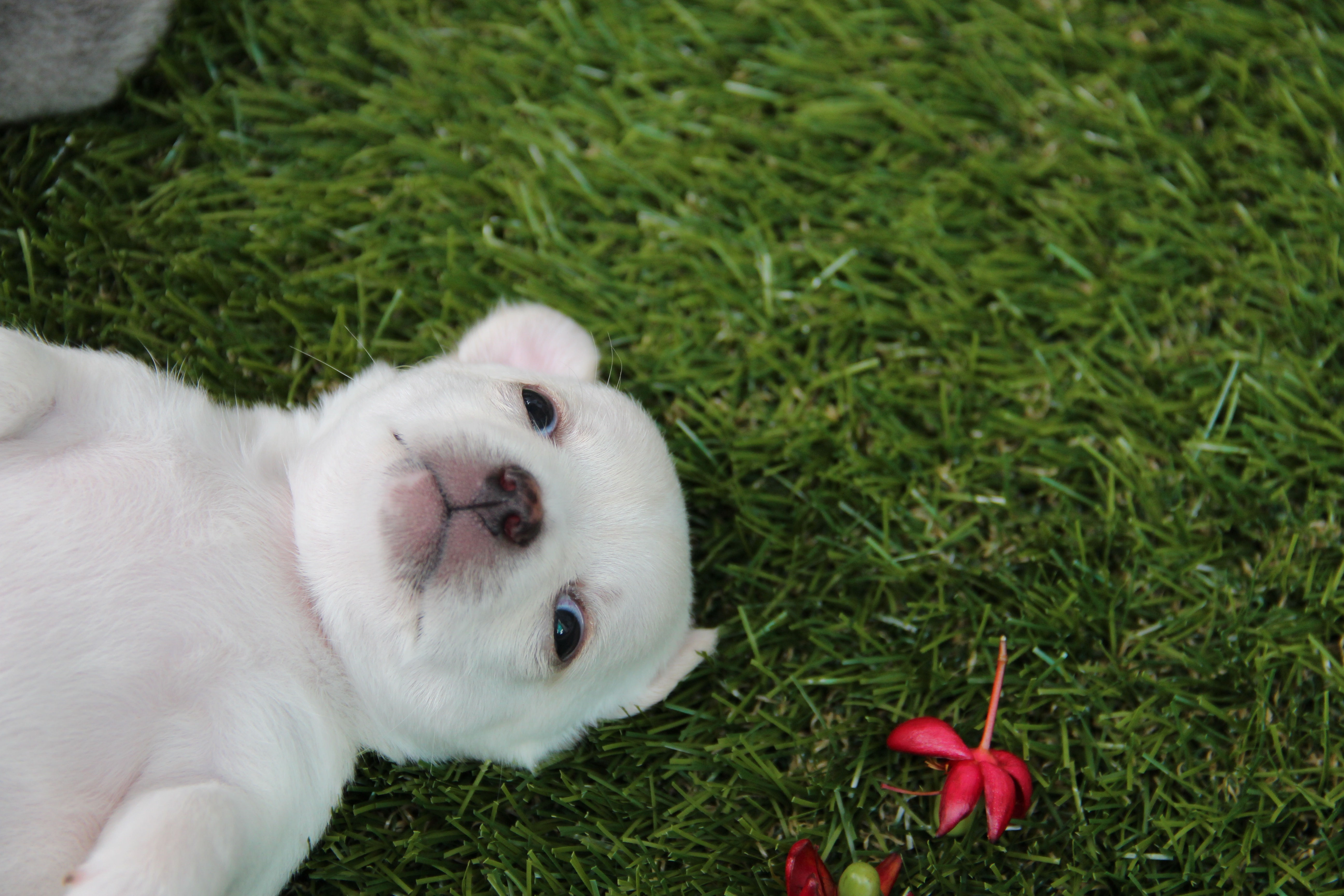 image000122221