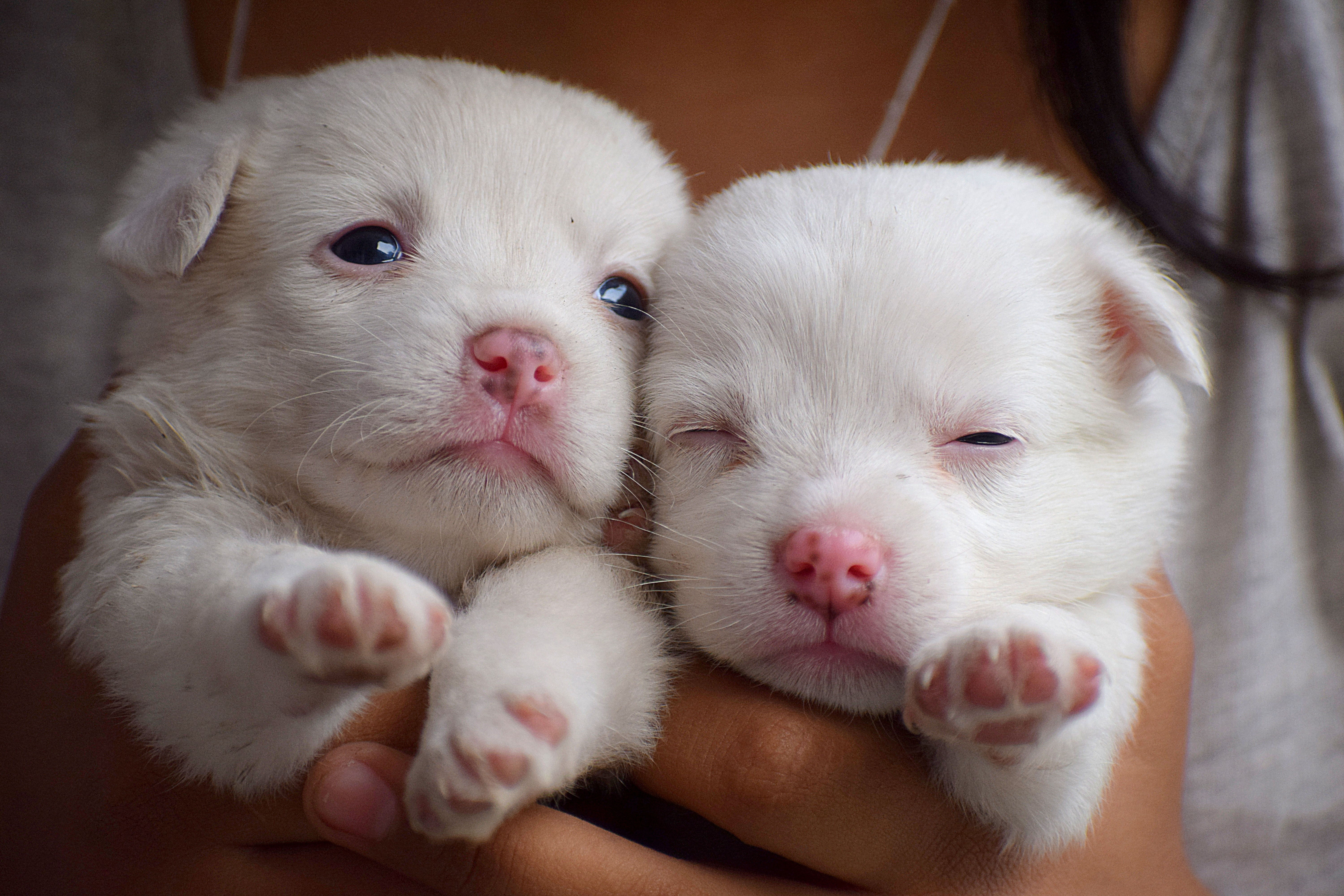 image000122221