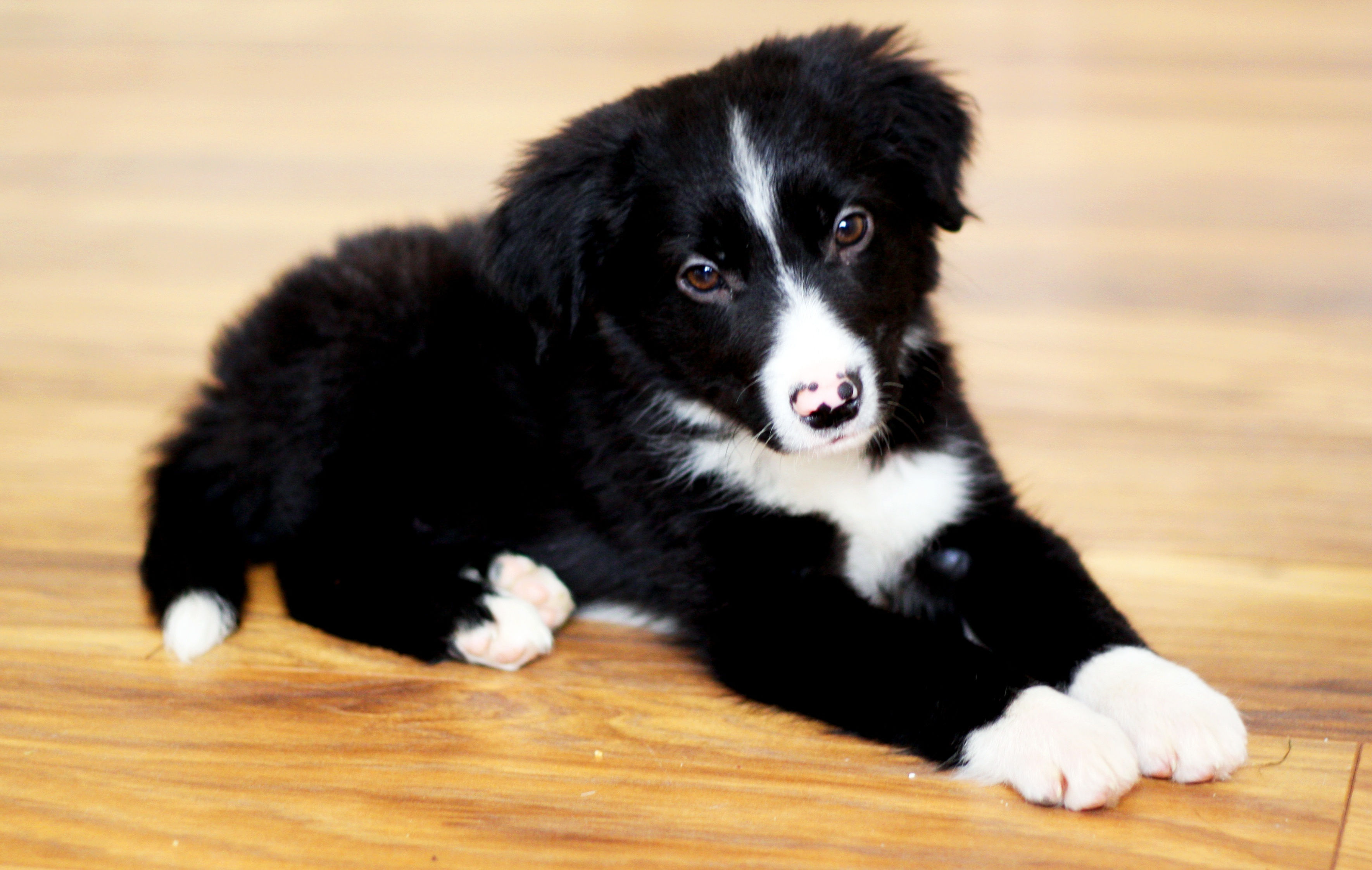 image000122221