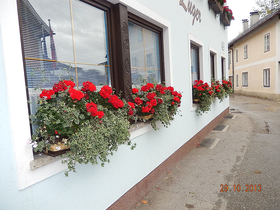 Achei lindas as casinhas decoradas com flores.