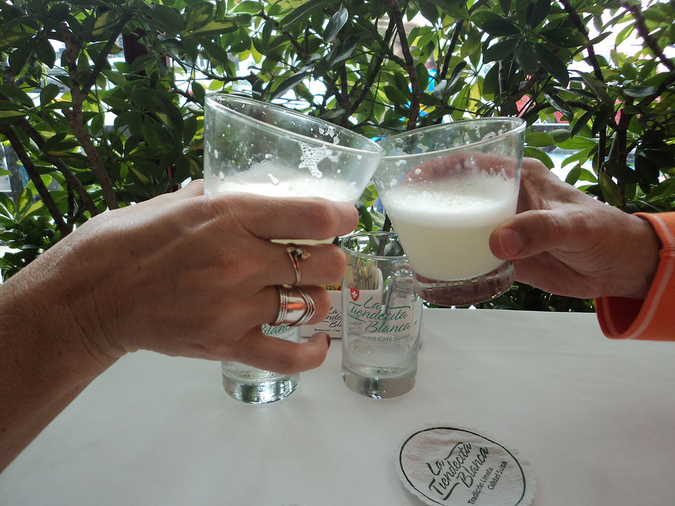 Pisco Sour de despedida na Tiendecita Blanca