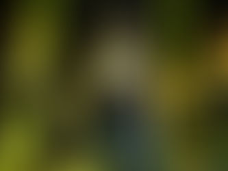 Muğla Düğün Orkestra Fiyatları