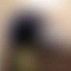 Obnova Colloredo-Mansfeldského paláce